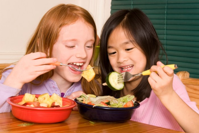 Hausarbeit gesunde ernährung kindern