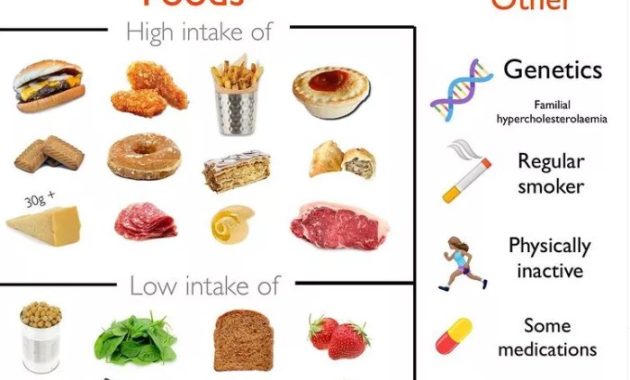 Trotz gesunder Ernährung Cholesterin zu hoch?