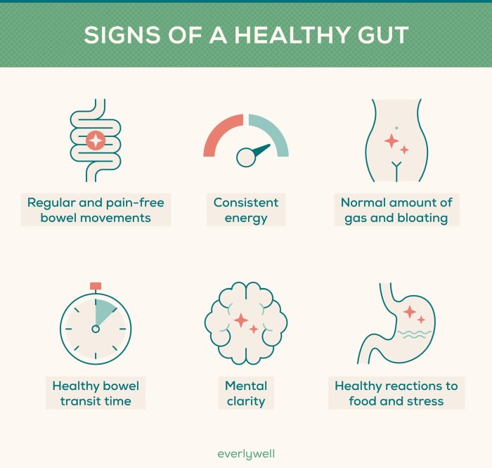 Ckd protein malnutrition esrd nutrients kidney nutrition energy axis mdpi uremic intestinal gastrointestinal wasting related 2072 g002 inflammation