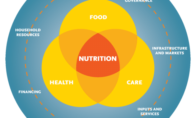 Studium mit Ernährung und Gesundheit Karrierewege