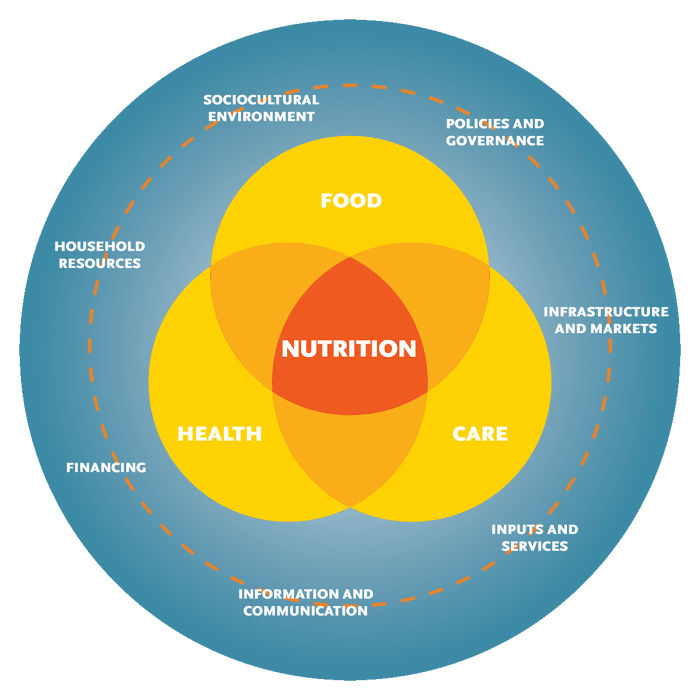 Studium mit ernährung und gesundheit