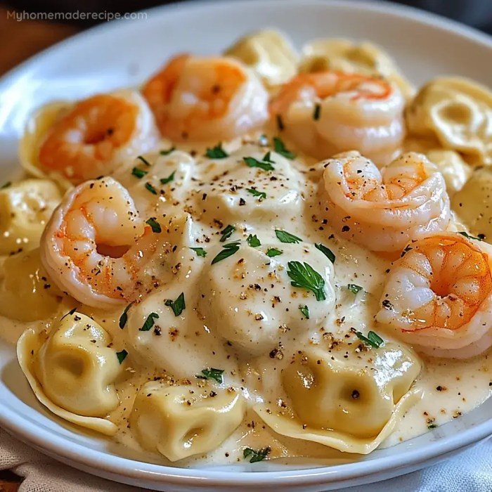 Shrimp with alfredo sauce recipe